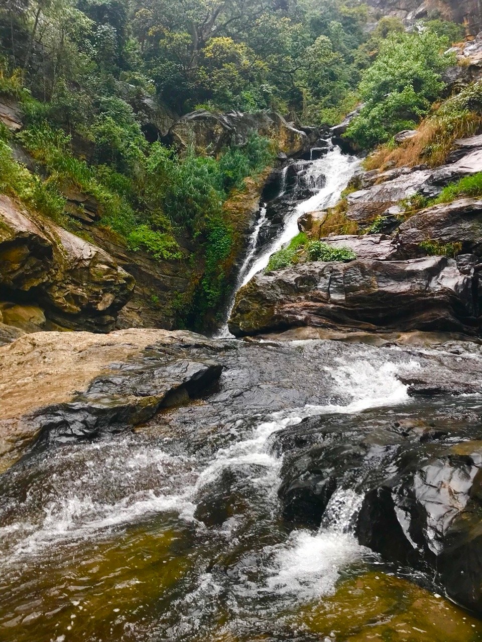 Sri Lanka -  - Kurzer STOPP ⛔️ bei diesem Wasserfall 💦 