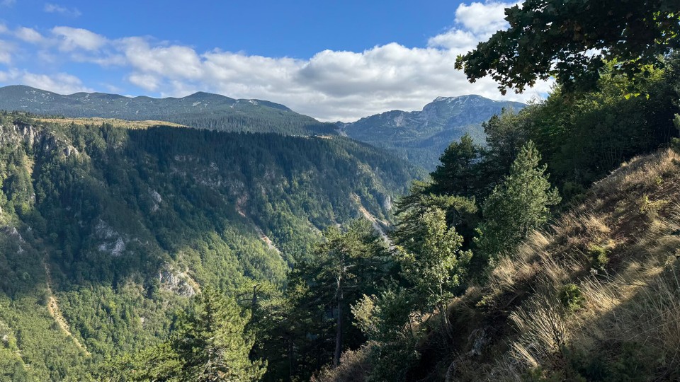 Montenegro - Plužine - Die Tara-Schlucht in Montenegro ist mit einer Tiefe von bis zu 1.330 Metern die tiefste Schlucht Europas und nach dem Grand Canyon in den USA die zweitgrößte der Welt.