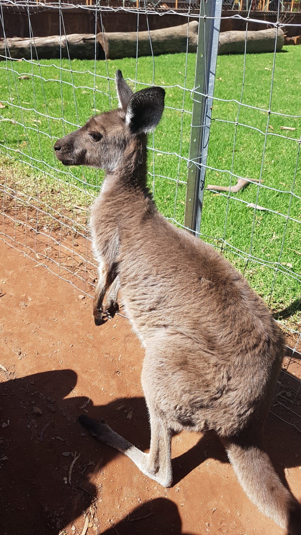 Australien - Via Hawker - 