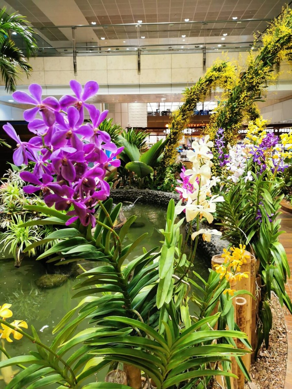 Singapur - Singapur - 