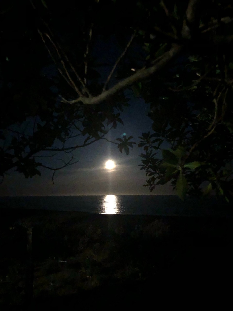 Neuseeland - Clifton - Good night everybody