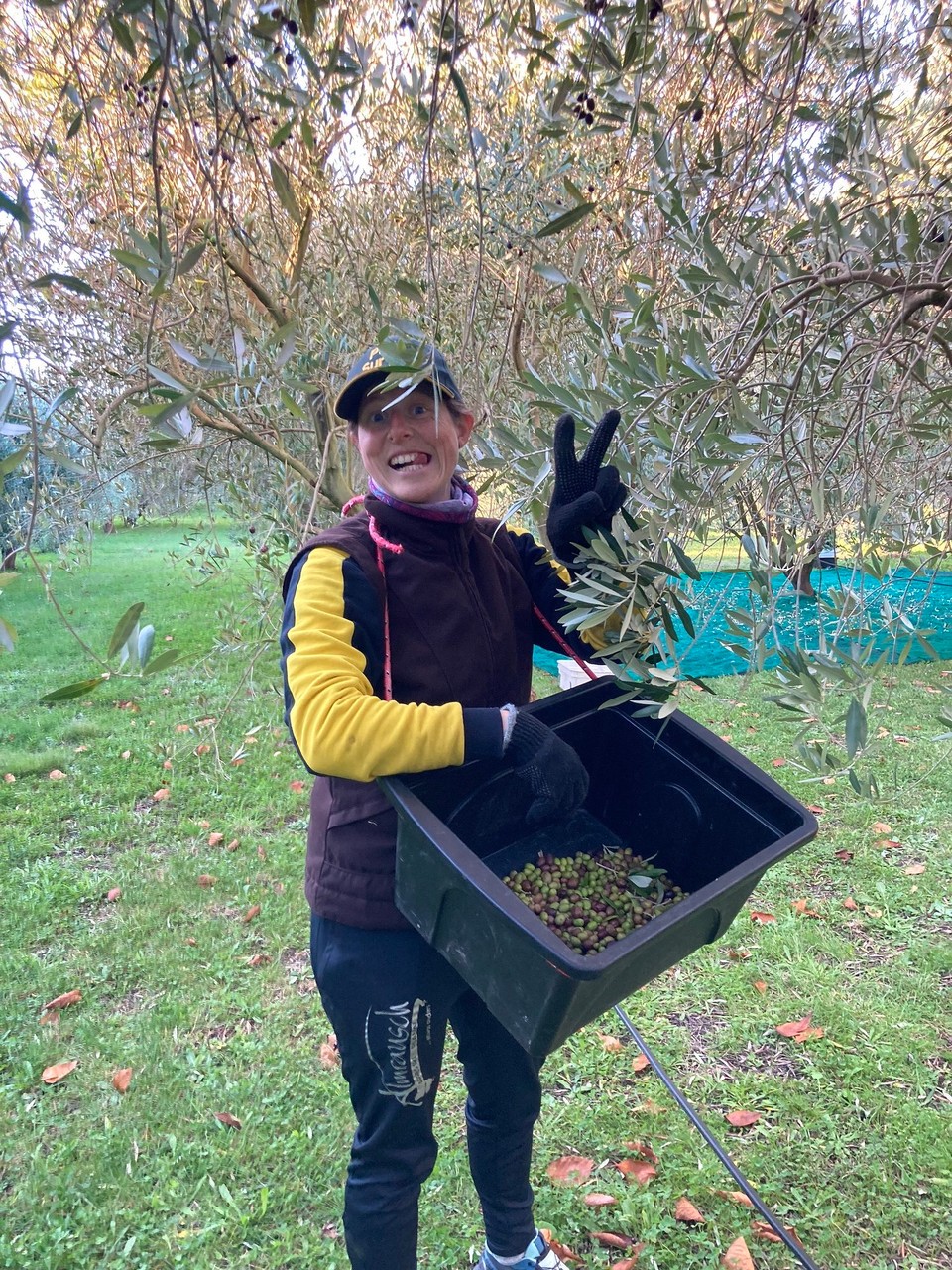 Neuseeland - Ward - Der Wind ist nicht ganz so angenehm 🙈