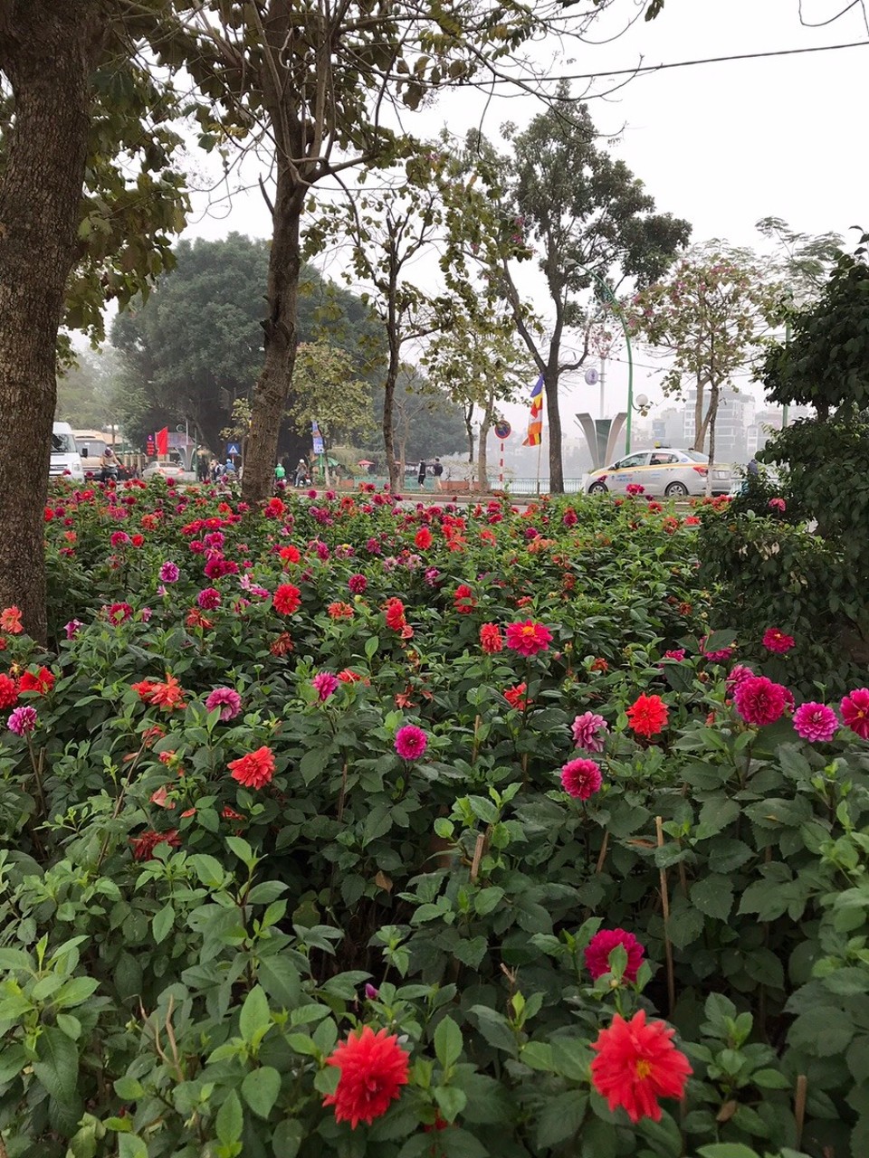 Vietnam - Hanoi - 