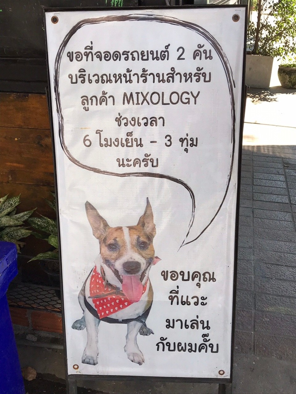 Thailand - Chiang Mai - 