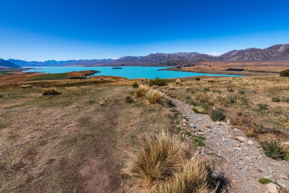 Neuseeland - Tekapo - 