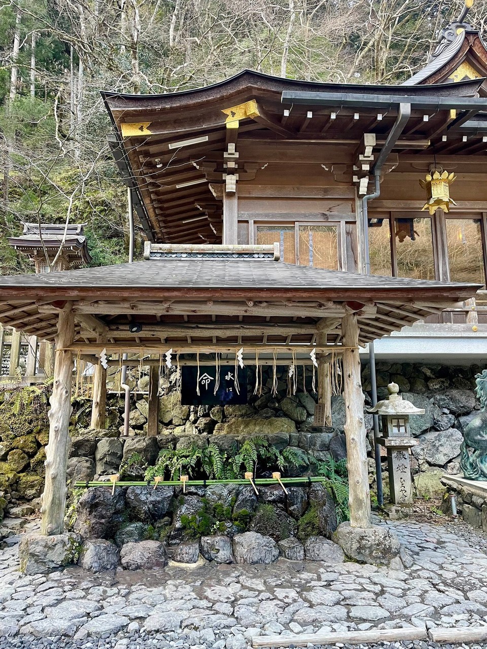 Japan - Kyoto - 