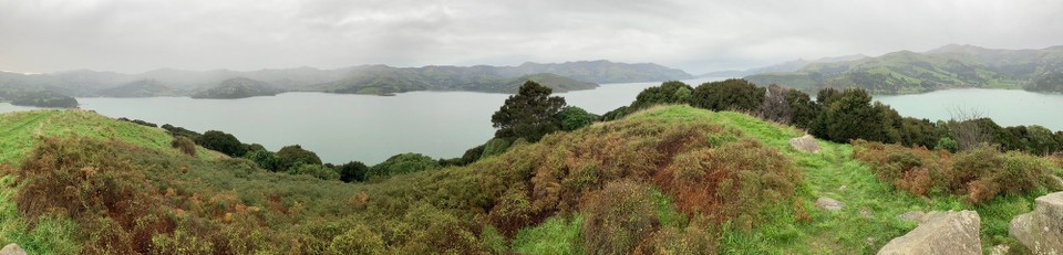 Neuseeland - Duvauchelle - 