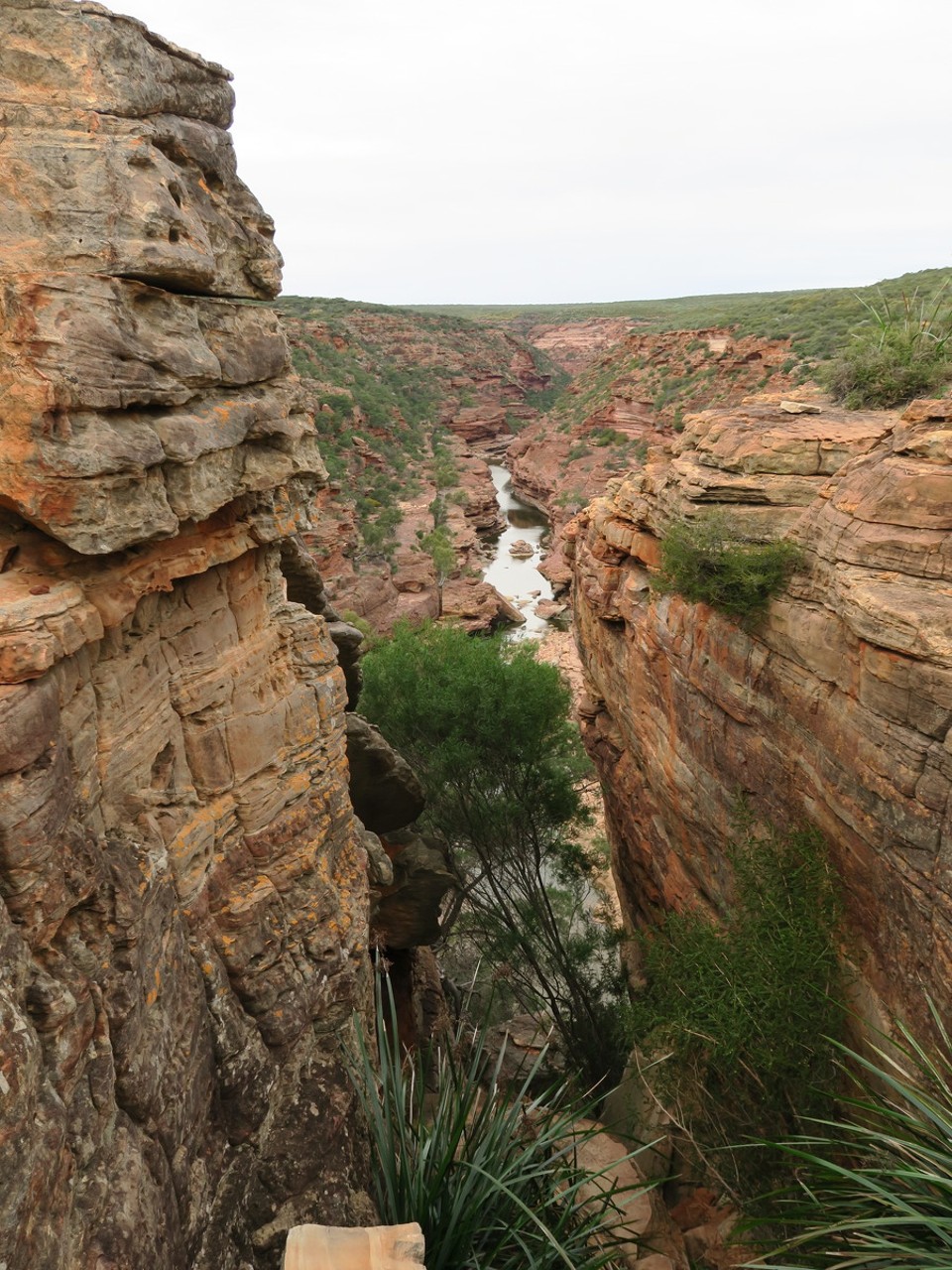 Australia - Kalbarri - 