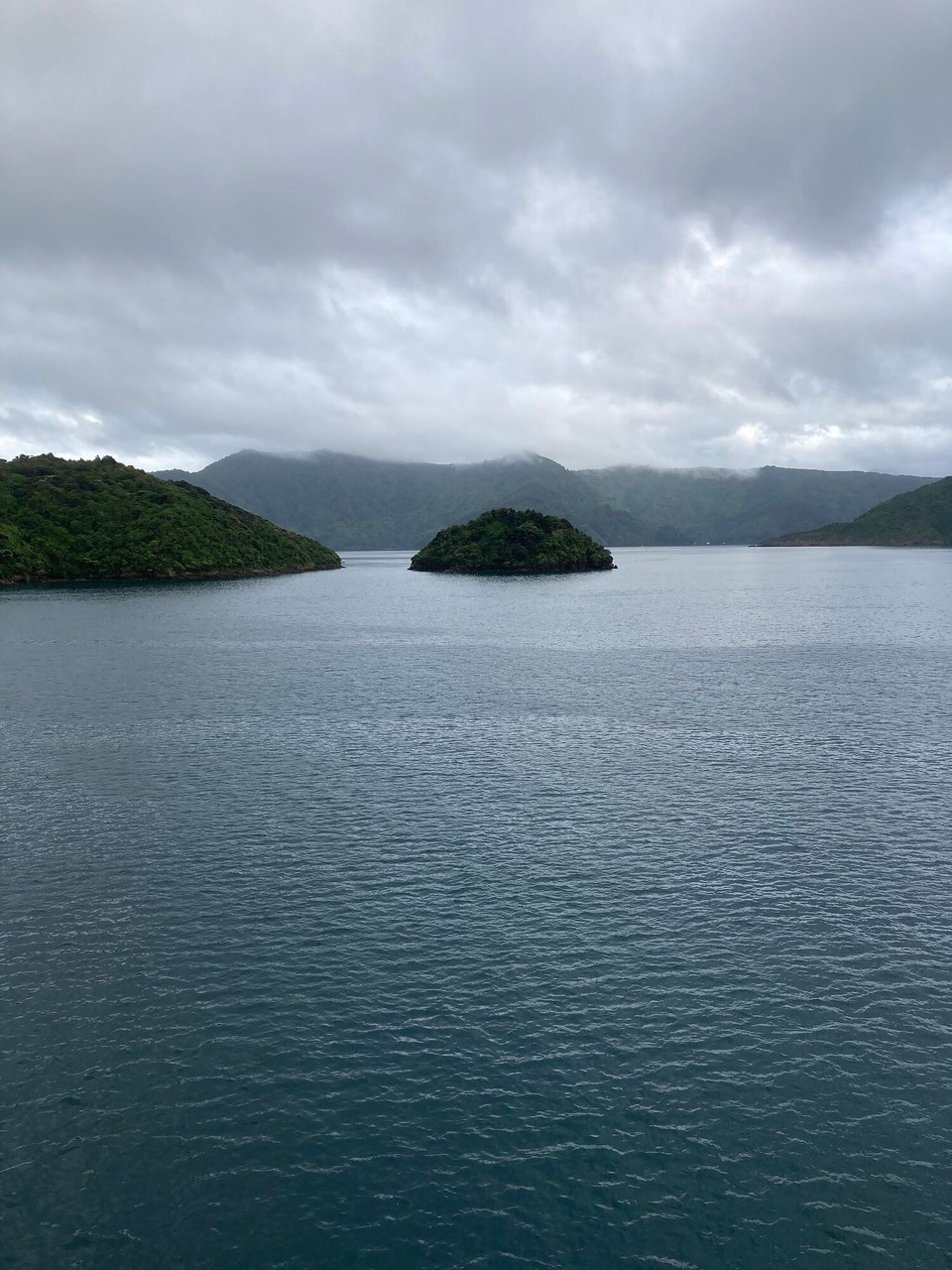 Neuseeland - Upper Hutt - Durch den Sound