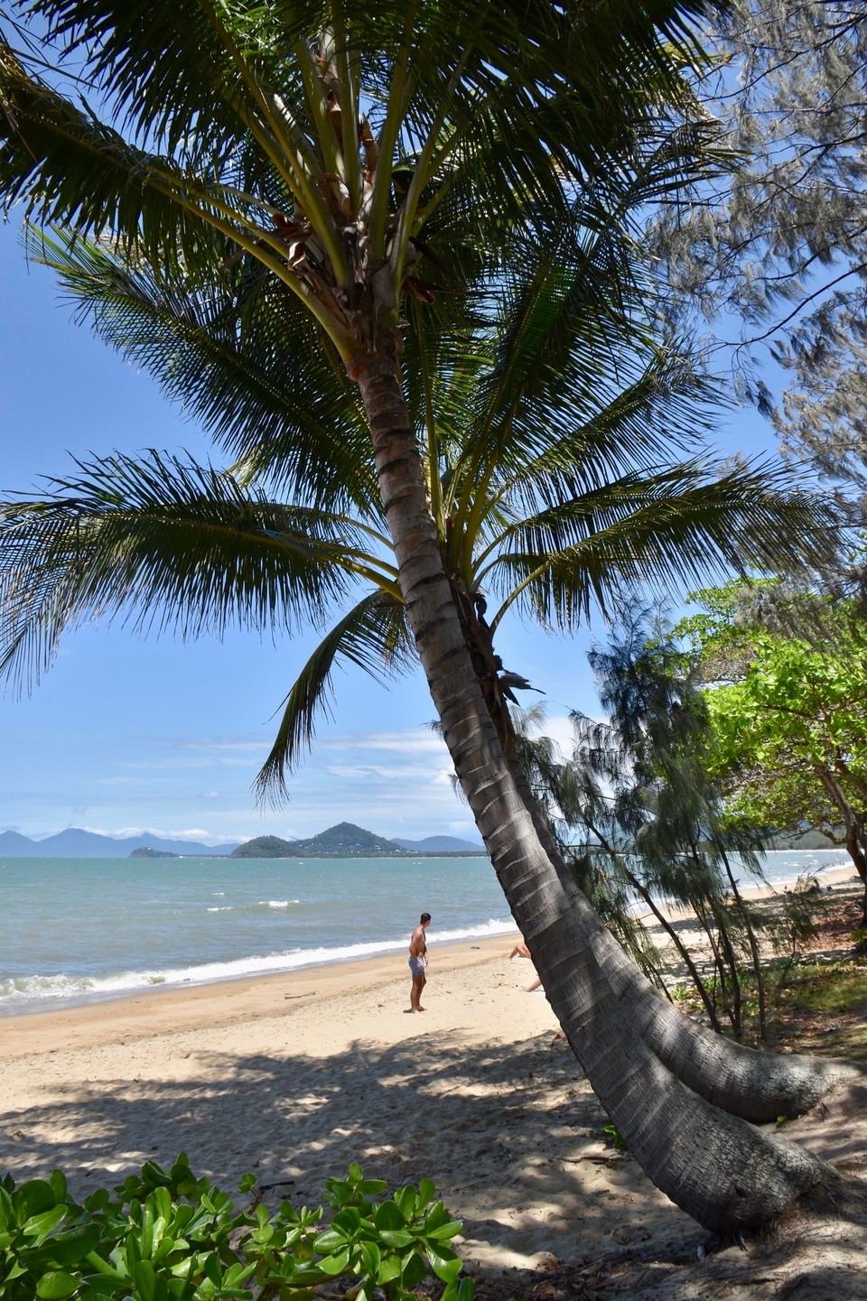 Australien - Port Douglas - In allen Orten sind die Strandpromenaden sehr gepflegt.
Parken ist kostenlos, alle 100m sind kostenlose Stellen mit Trinkwasser und Hundetränke.Etliche Bänke und Picknick Stellen mit kostenlosen Gas Grillstationen und alles Sauber. Hier sind die Steuergelder ordentlich genutzt.