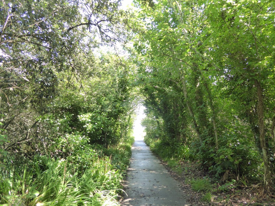 United Kingdom - Isles Of Scilly - The islands a tracks, small roads and paths leading around the island. We left the gardens and walked to Old Grimsby.