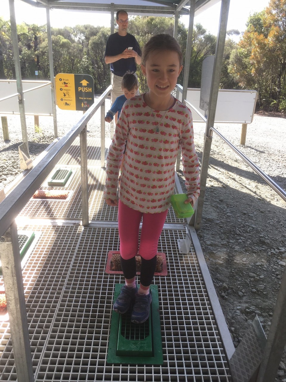 Neuseeland - Waipoua Kauri Forest - Heute sind wir zu den Kauri Wäldern gegangen. 