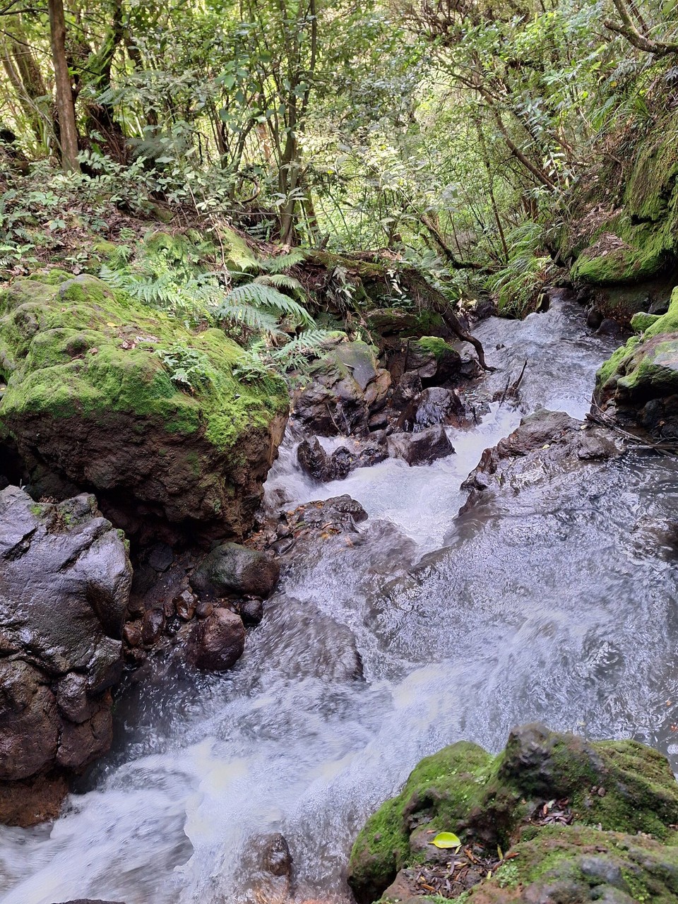 Neuseeland - Turangi - 