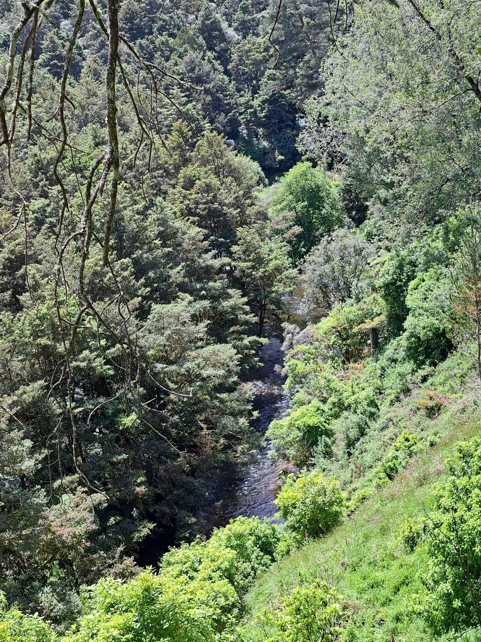 Neuseeland - Mangaokewa - 