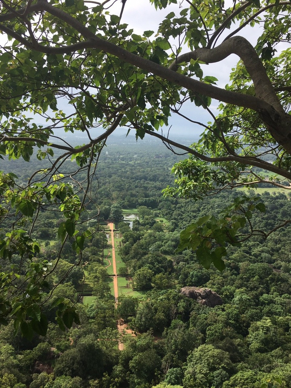 Sri Lanka -  - 