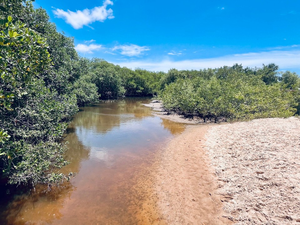 Brasilien - Jacuípe - 