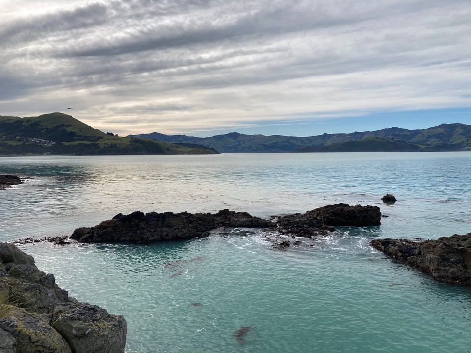 Neuseeland - French Farm - 