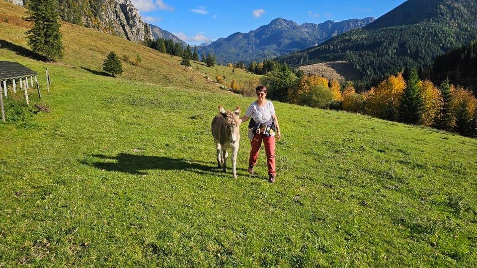 Österreich - Steyr - 