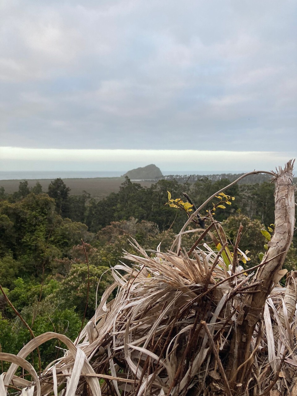 Neuseeland - Harihari - 