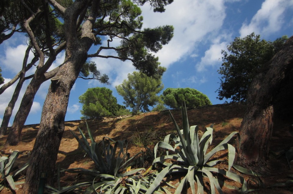 Frankreich - Saint-Tropez - 