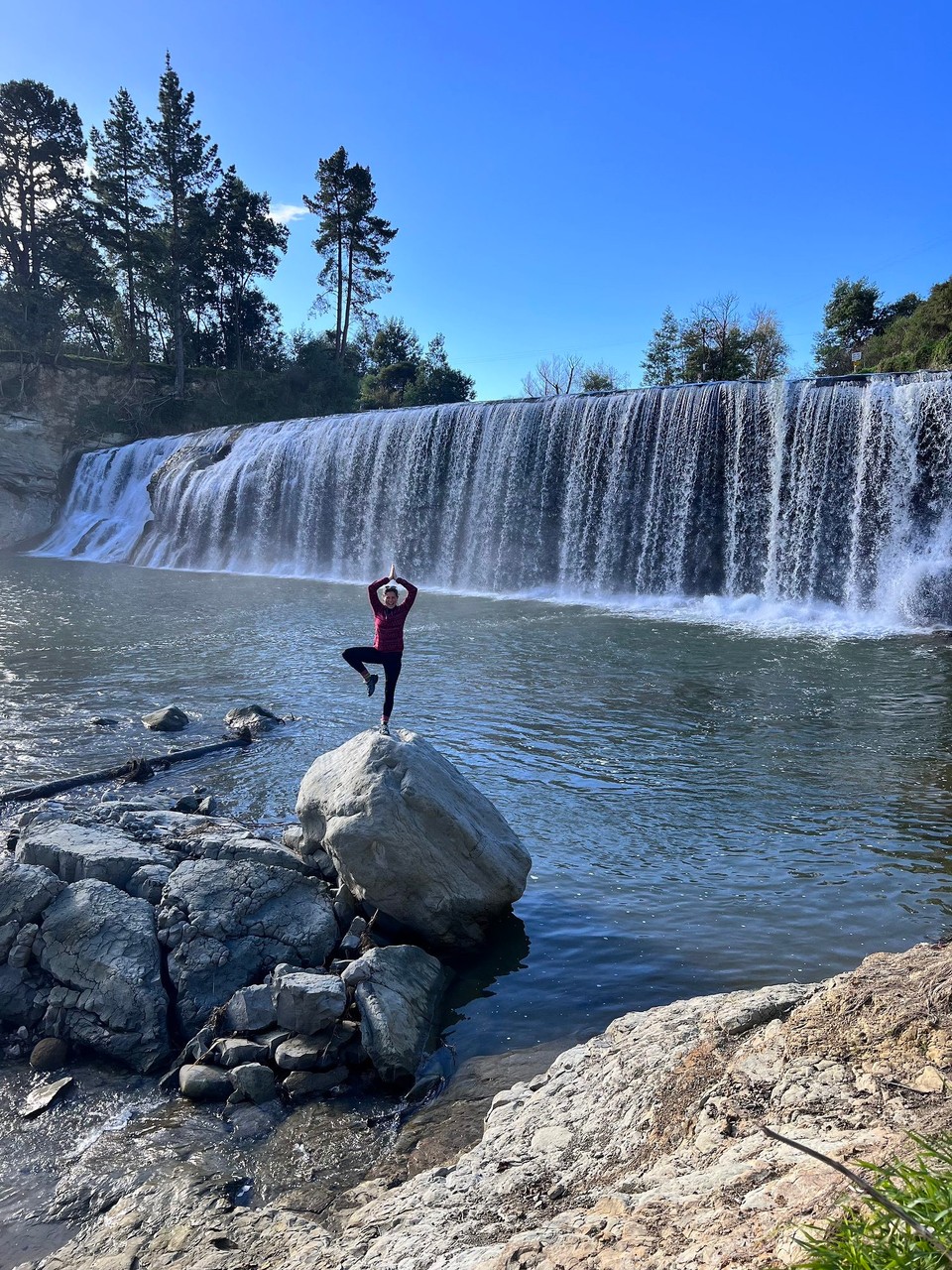 Neuseeland - Gisborne - Schnell noch ein Bäumchen und weiter geht’s 