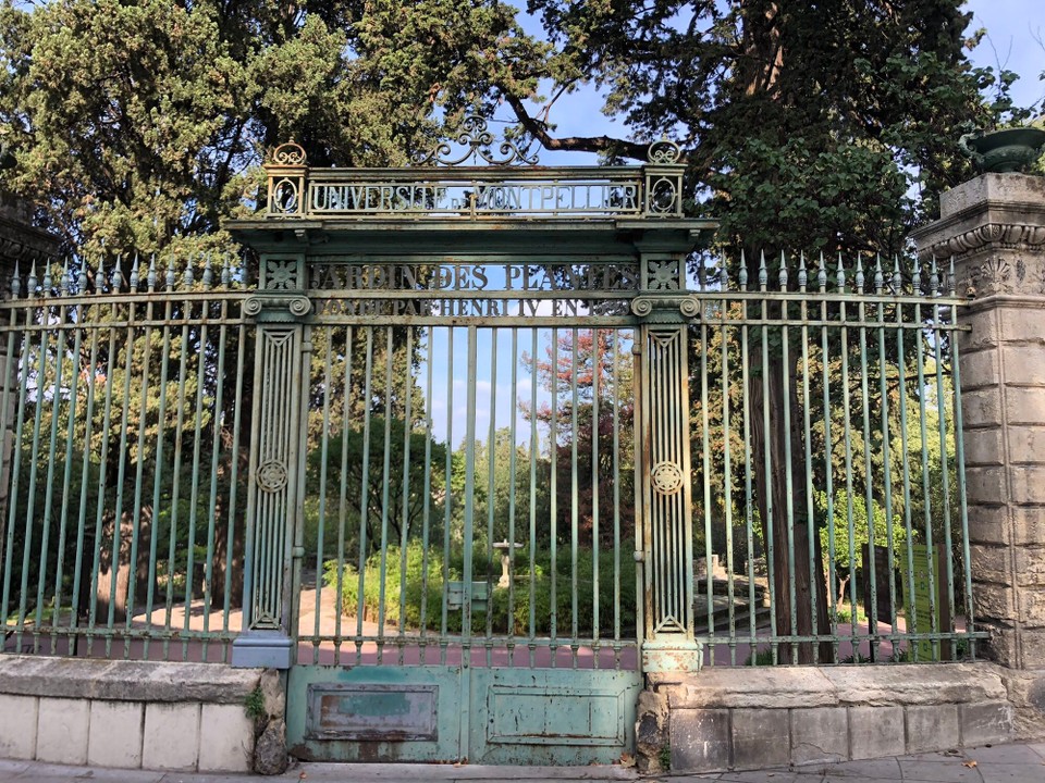 Frankreich - Montpellier - 