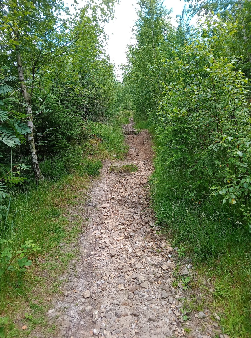 Deutschland - Horn-Bad Meinberg - Alter! Hier kommste aus der Puste. Gut das ich kein Video drehen...😅