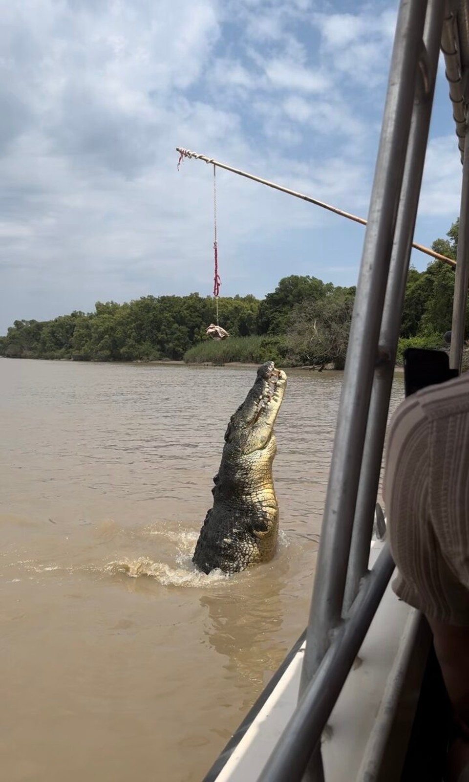 Australien - Jabiru - Dem Krokodile fählt en Arm
