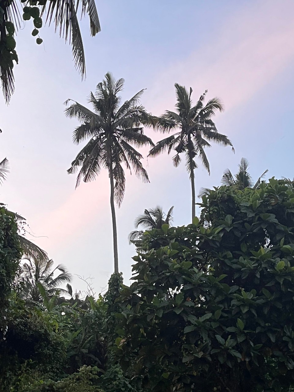 Indonesien - Gianyar - 