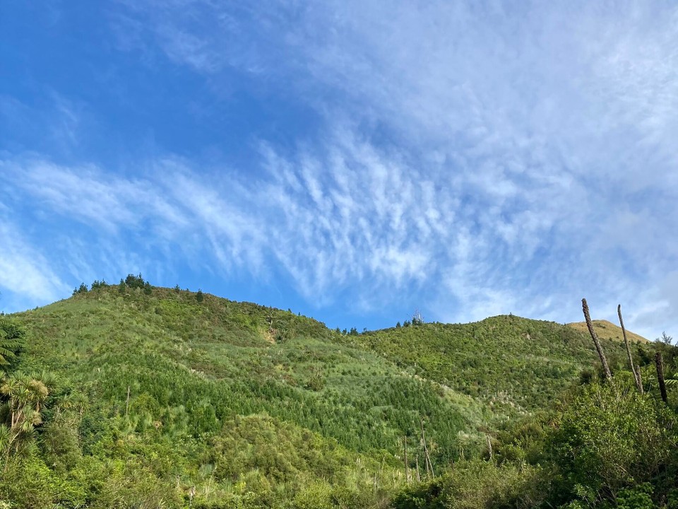 Neuseeland - Papamoa - Vormittagsausflug zum Pāpāmoa Hill