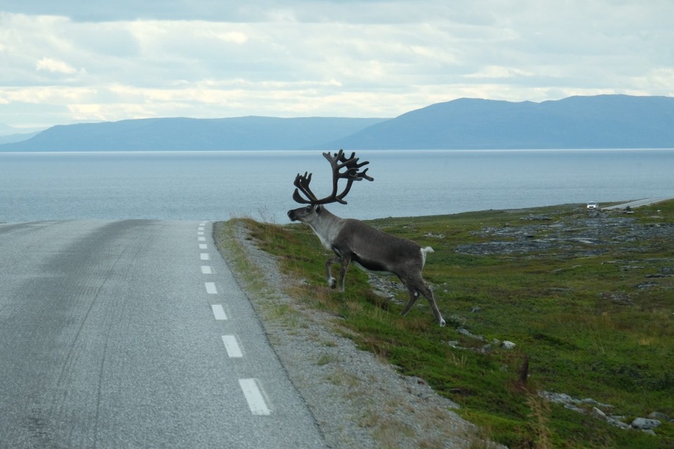 Finnland - Enontekiö - 