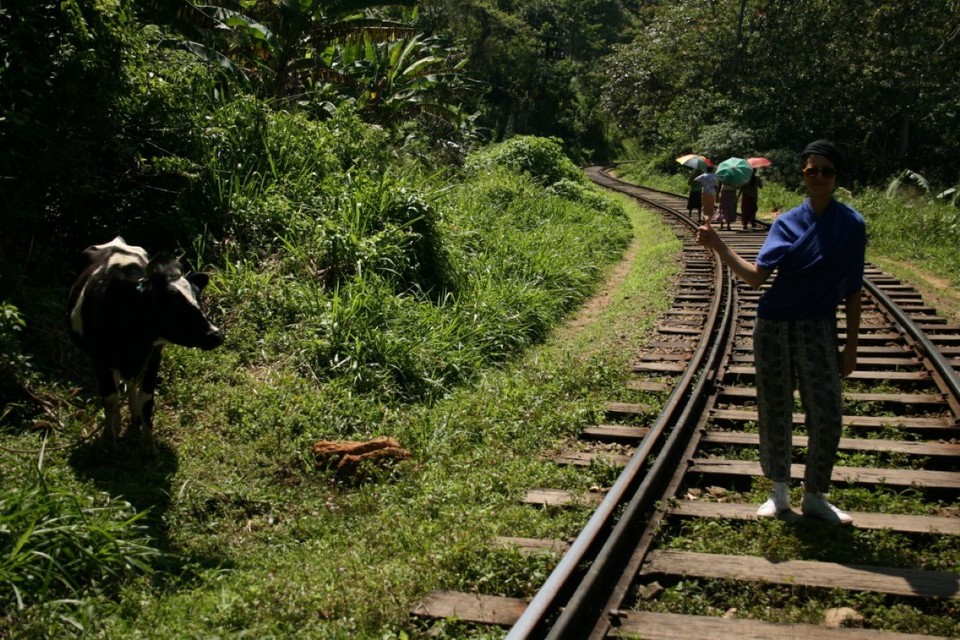 Sri Lanka - Ella - 
