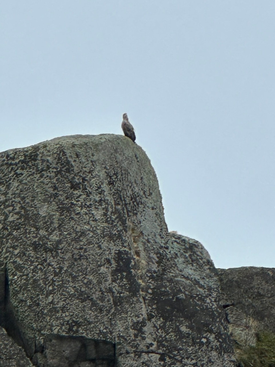 Norwegen - Sennesvik - 