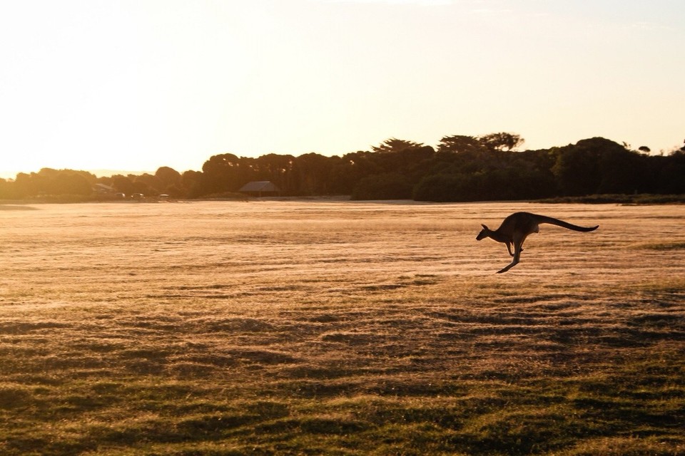 Australien -  - 