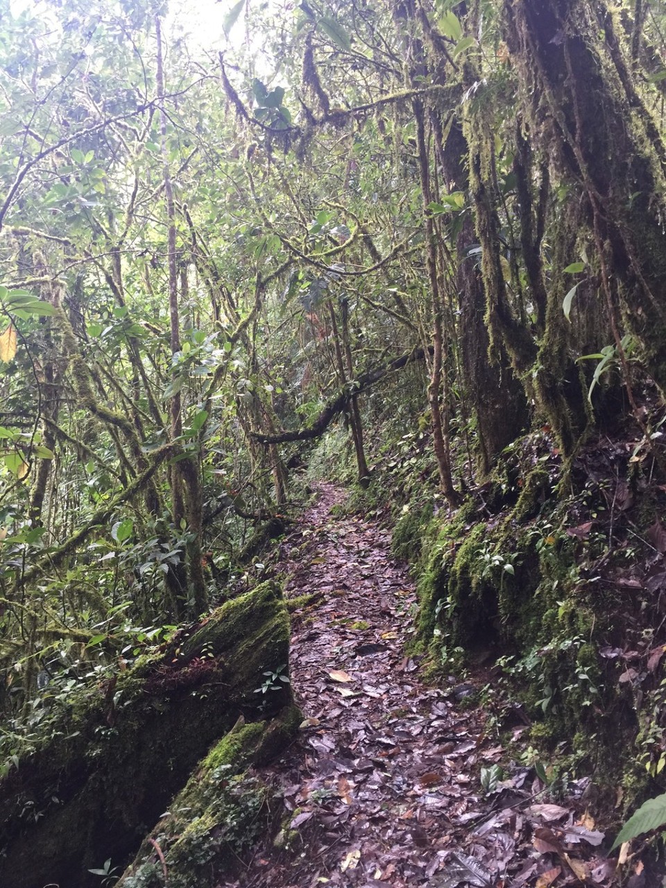 Costa Rica - San José - 