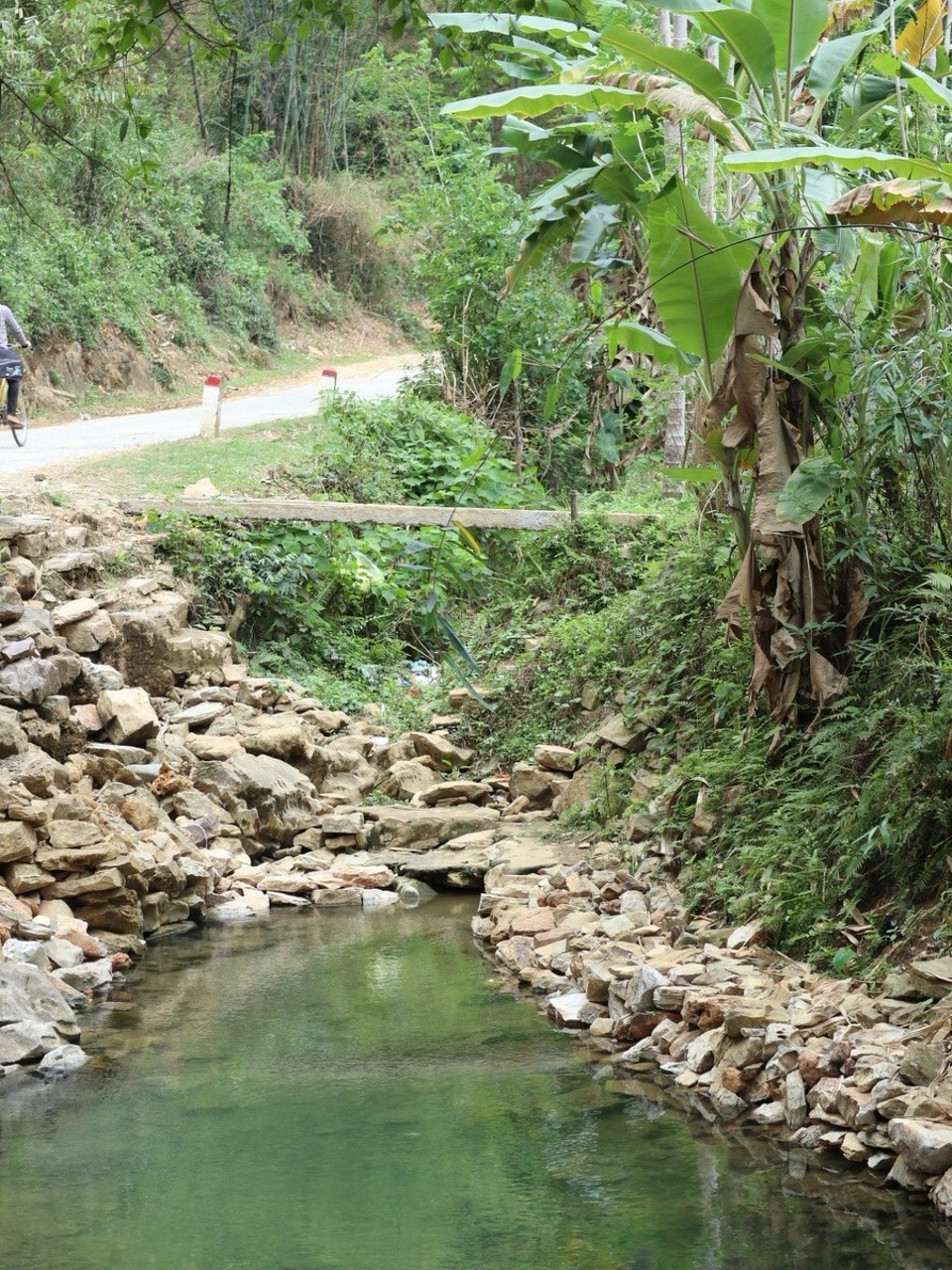 Vietnam - H. Mai Châu - Natur pur...