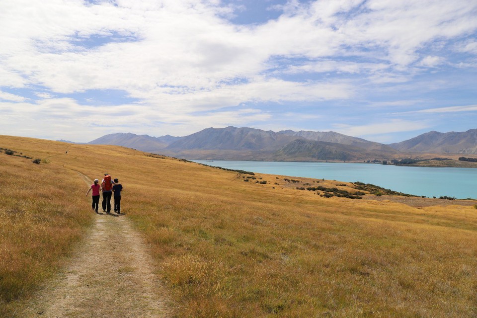 Neuseeland - Lake Tekapo - 