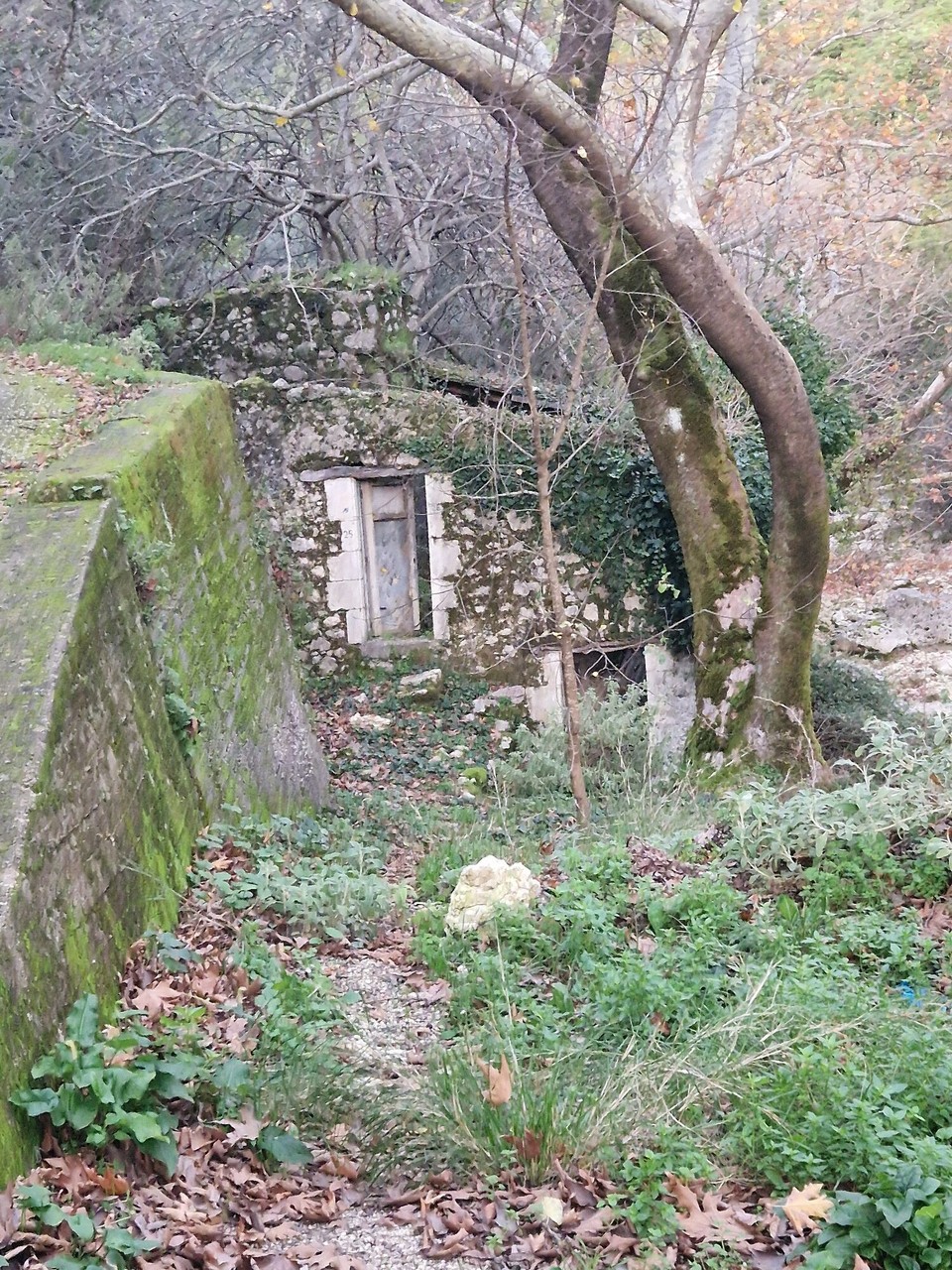 Griechenland - Vasilopoulo - Verlassenes Haus am trocknen Flussbett