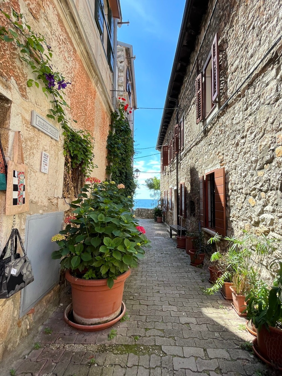 Kroatien - Rovinj - 