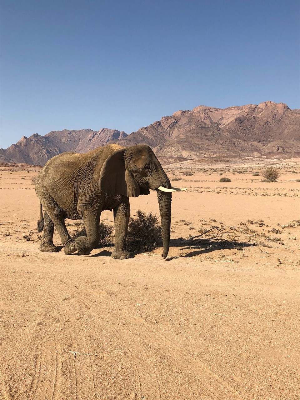 Namibia - Uis - 