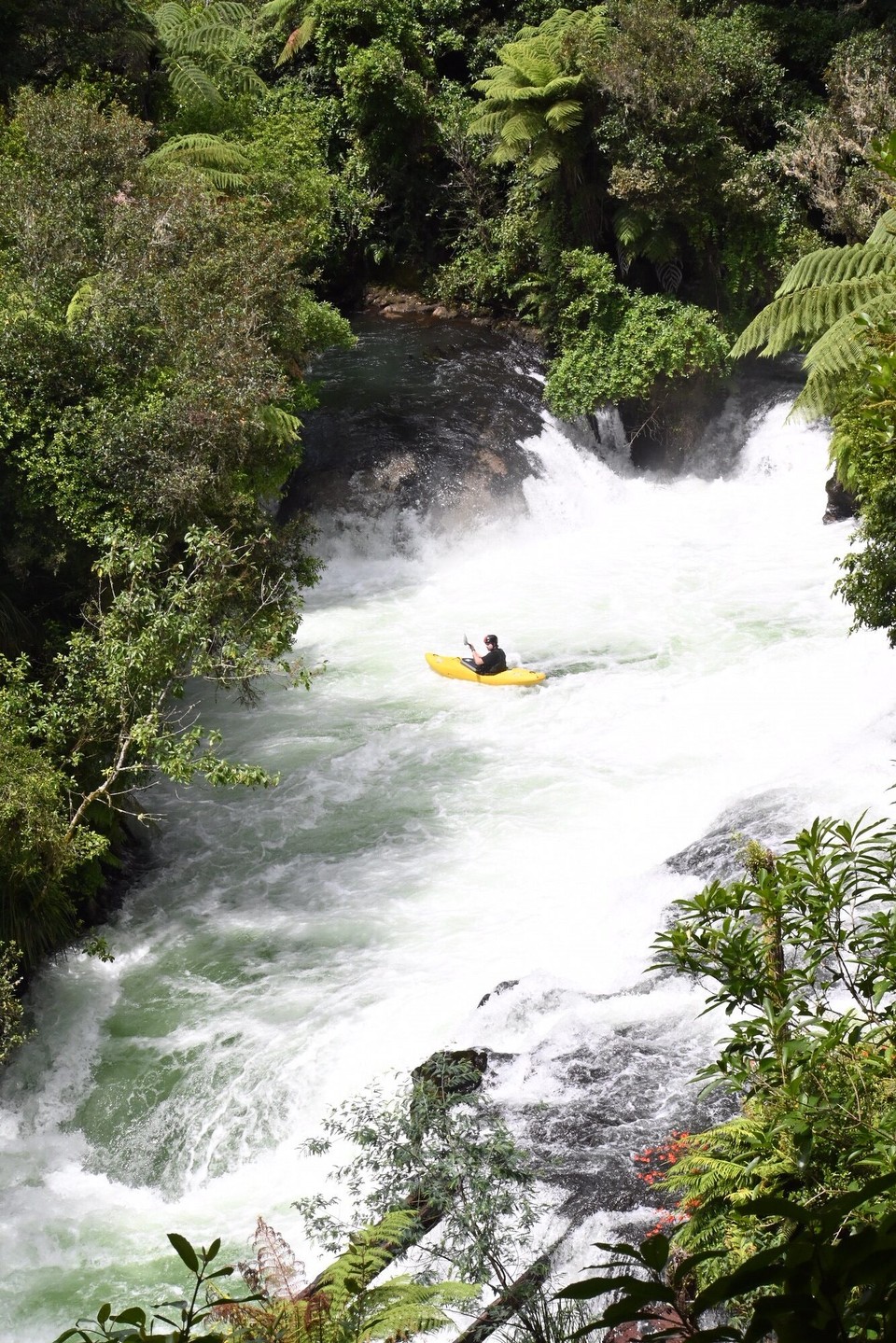 Neuseeland - Rotorua - Okere Falls