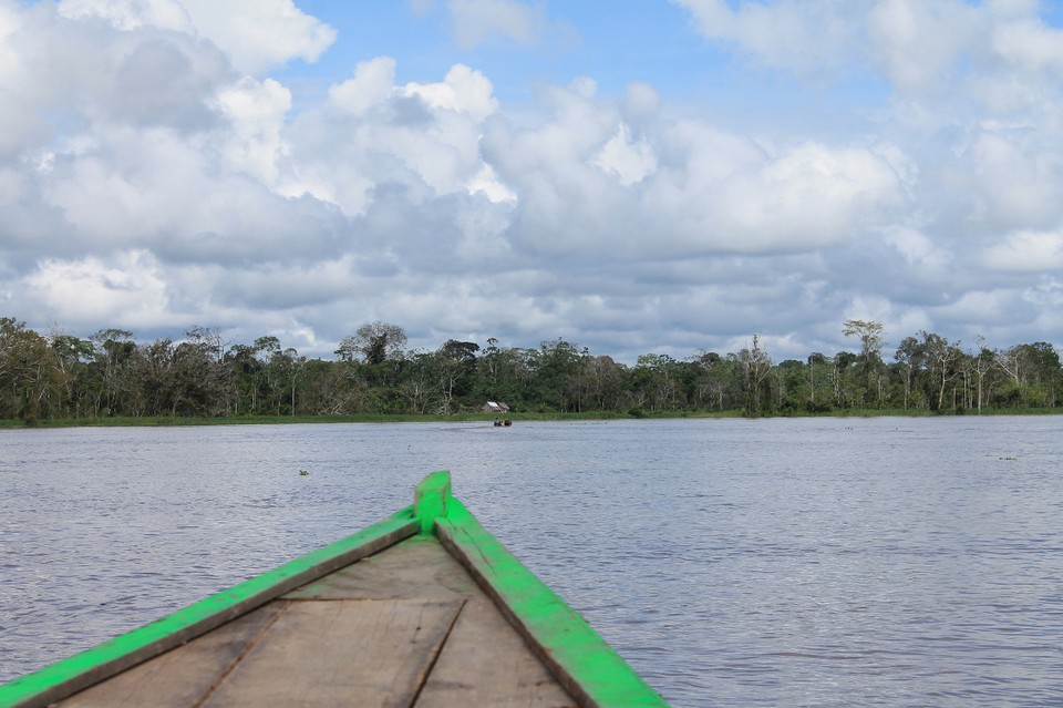 unbekannt - Rio Javari - 