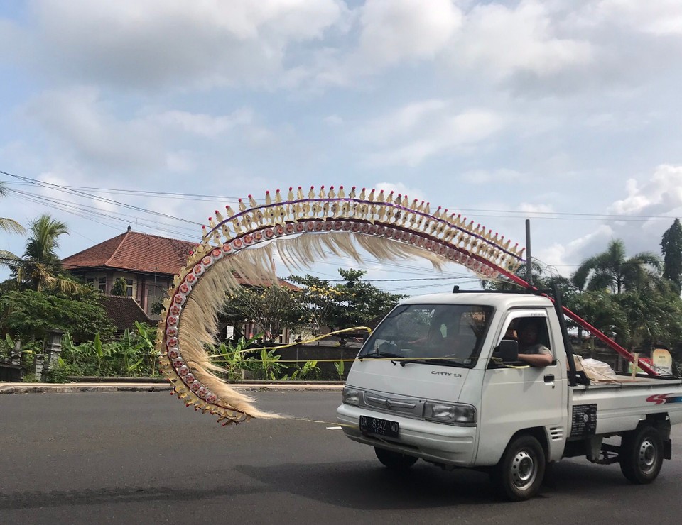Indonesien - Jembrana - Manche transportieren ihre Bambuswedel auch auf dem Roller...
