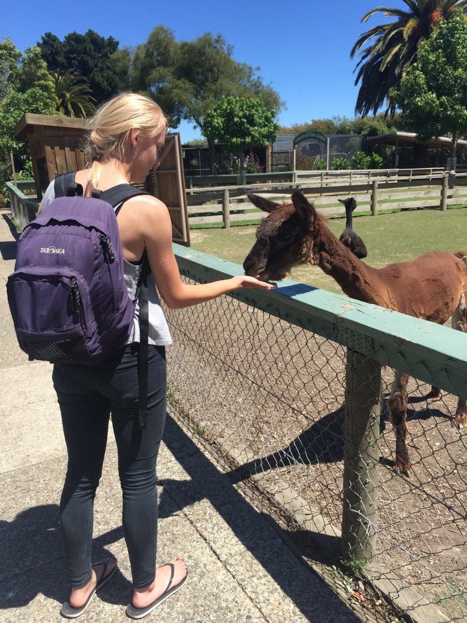  - Neuseeland, Tahunanui, Tahunanui Beach - 