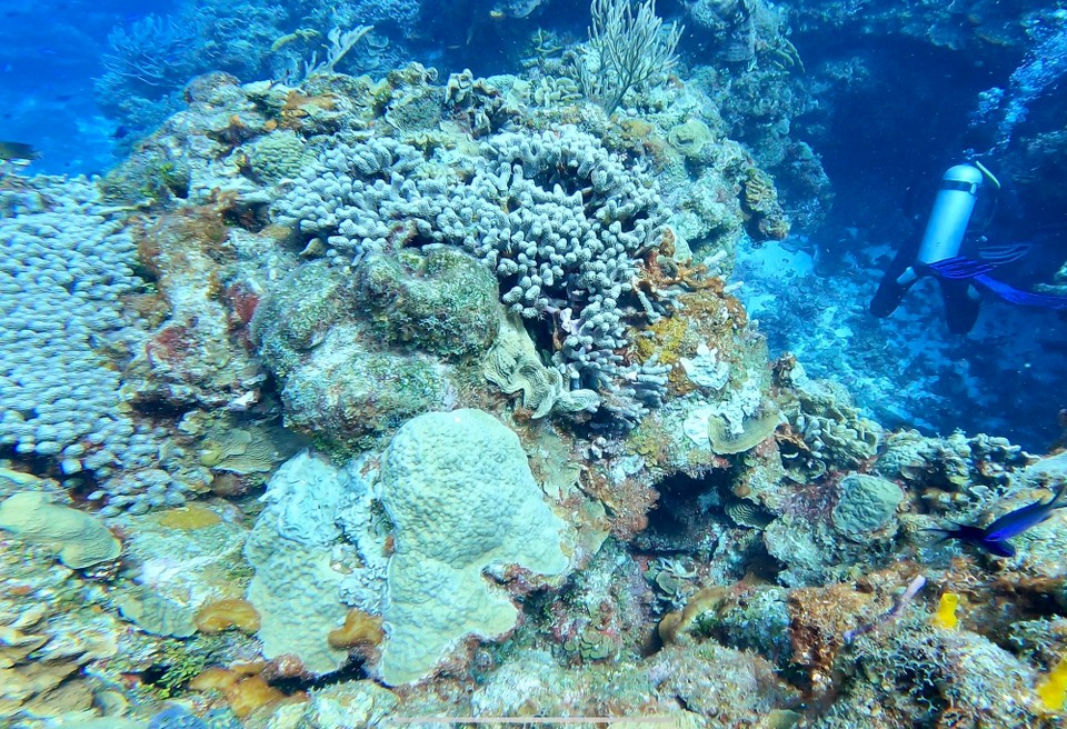 Mexiko - Cozumel - 