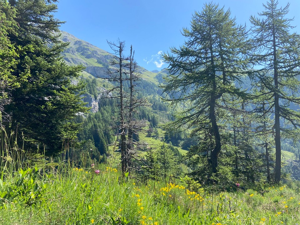 Schweiz - Anzère - 