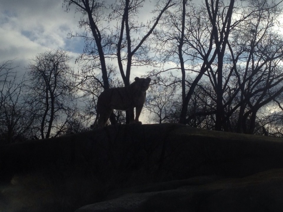France - Paris - Paris zoo