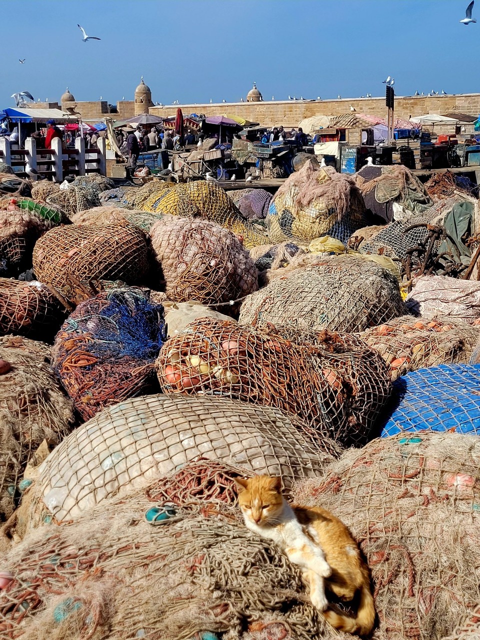 Marokko - Essaouira - 