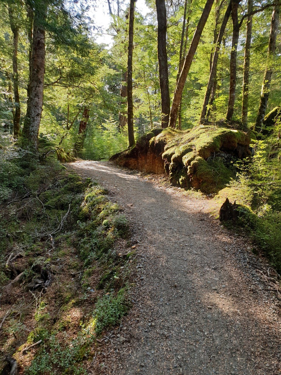 Neuseeland - unbekannt - 