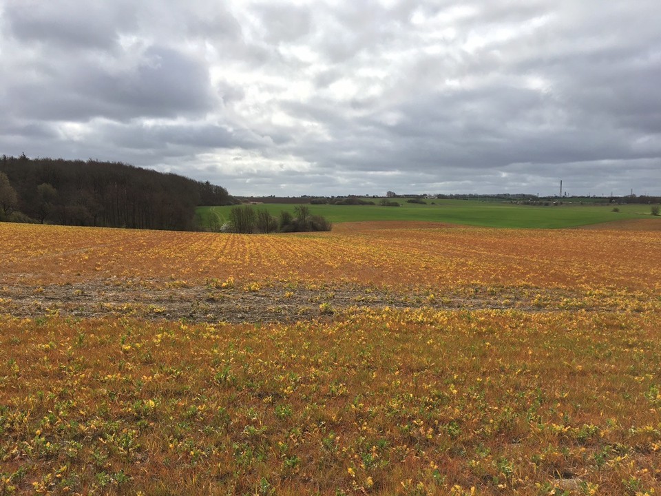  - Dänemark, Fredericia - Schönes Farbspiel.